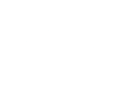 logo SSIG